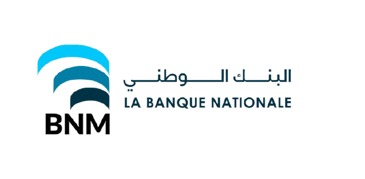 Logo_bnm-removebg-preview